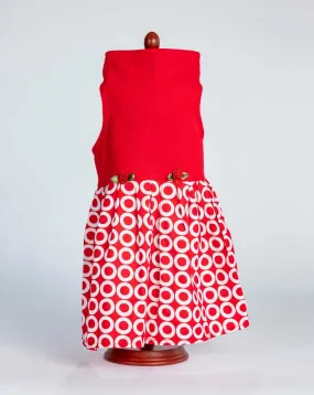 423 Daisy & Lucy Red Top With Target Print Dress